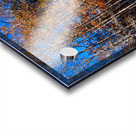 Store Georgia DSC 0626 Acrylic print