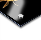 Store Macro 5L3A2752 Acrylic print