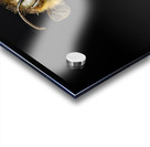 Store Macro 5L3A2811 Impression Acrylique