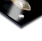 Store Macro 5L3A2775 Acrylic print