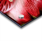 Store Macro 5L3A3569 Impression Acrylique