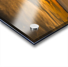 Sunset 5 Acrylic print