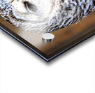 Store Vancouver 5L3A6870 Acrylic print