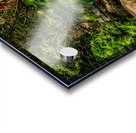 Store Vancouver 5L3A6951 Acrylic print