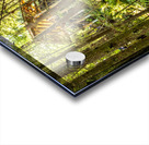 Store Vancouver 5L3A6895 Acrylic print