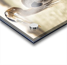 Store Key Biscayne AE2A9016 Impression Acrylique