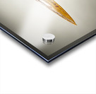 Store Key Biscayne AE2A9025 Acrylic print