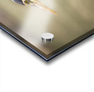 Store Key Biscayne AE2A9010 Acrylic print