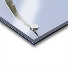 Store Dania Beach AE2A8747 Acrylic print