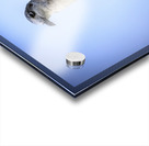 Store Dania Beach AE2A8868 Acrylic print