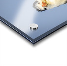 Store Dania Beach AE2A8826 Acrylic print