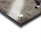 Store Dania Beach AE2A8947 Acrylic print