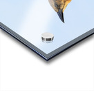 Store Dania Beach AE2A8779 Impression Acrylique