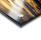 Store Dania Beach AE2A8676 Acrylic print