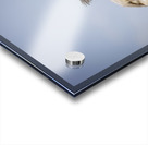 Store Dania Beach AE2A8709 Acrylic print