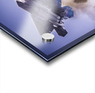 AirShow F22 AE2A5118 Acrylic print