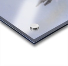 Store FLLAirShow AE2A4043 Acrylic print