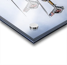 Store FLLAirShow AE2A3613 Acrylic print