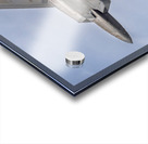 Store FLLAirShow AE2A4018 Acrylic print