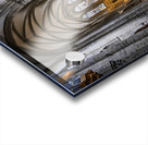 Belgium E2A8869 Acrylic print