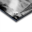 Belgium E2A9071 Acrylic print