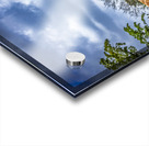 Wildlife 7 Acrylic print