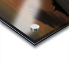 Key West MG 5161 Acrylic print