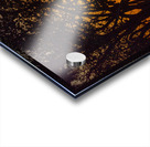 Vista View MG 7313 Impression Acrylique