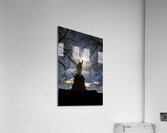 New York Statue of Liberty Acrylic Print