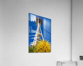 Store Seattle 5L3A7143 Acrylic Print