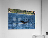 Store Alaska5L3A7652 Acrylic Print