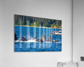 Store Alaska5L3A7546 Acrylic Print