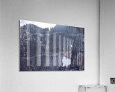 Store Alaska5L3A8025 Acrylic Print