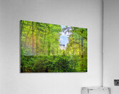 Store Munich  5L3A4085 Edit Acrylic Print