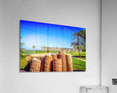 Store Florida 5L3A9333 Acrylic Print