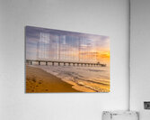 Store Florida 5L3A6579 Acrylic Print