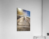 Store Florida 5L3A6606 Acrylic Print