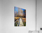 Store Georgia DSC 0626 Acrylic Print