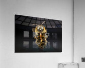 Store Macro 5L3A2811 Impression acrylique