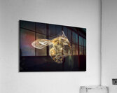 Store Macro 5L3A2775 Acrylic Print