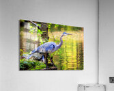 Store Vancouver 5L3A6854 Acrylic Print