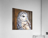 Store Vancouver 5L3A6870 Acrylic Print