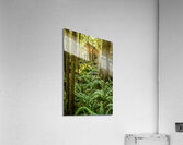 Store Vancouver 5L3A6895 Acrylic Print