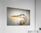 Store Key Biscayne AE2A9025 Acrylic Print