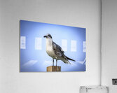 Store Dania Beach AE2A8868 Acrylic Print