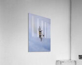Store FLLAirShow AE2A4043 Acrylic Print