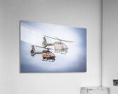 Store FLLAirShow AE2A3613 Acrylic Print