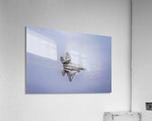 Store FLLAirShow AE2A4054 Acrylic Print