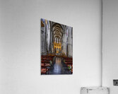 Belgium E2A8869 Acrylic Print