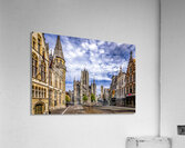 Belgium E2A9062 Color Acrylic Print